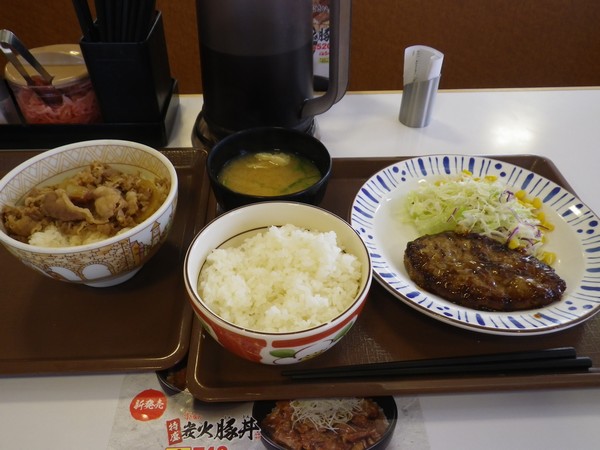 牛丼 ハンバーグ定食
