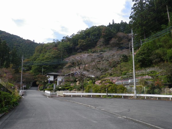 札所31番:観音院