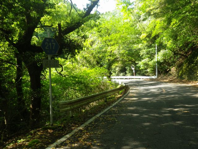 臼津トンネルへ至る