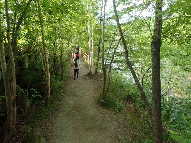 青い池遊歩道