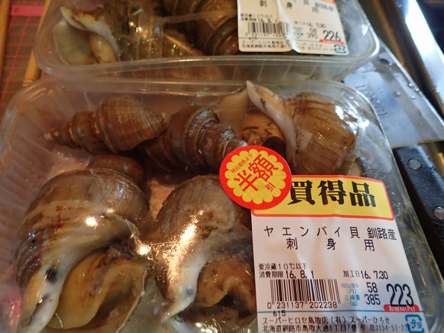 ヤエンバイ貝