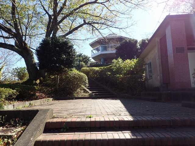 日本平：東展望台