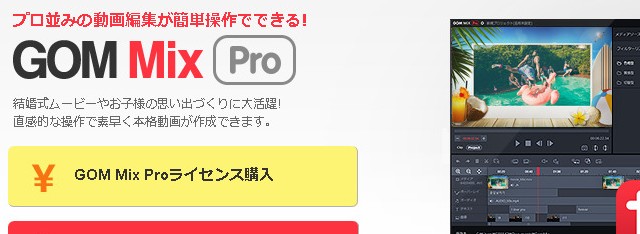GOM Mix Pro：ライセンス購入