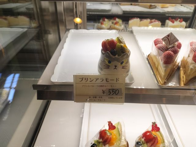ショーケース