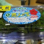 沖縄レンタカー観光６：海ぶどうの旬は冬だった！【海のグリーンキャビア】