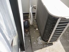 うちのベランダに鳩の巣が作られていた【驚愕事件】