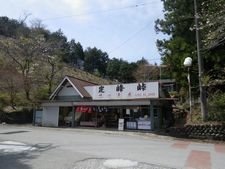 定峰峠ロードバイクアタック!桜は咲いていたよ