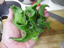 アイスプラントなる野菜を食してみた【オモシロ謎野菜】