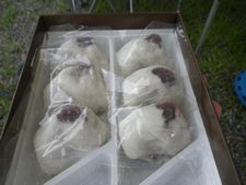 かどやのうすかわまんじゅうは上品な甘さだよー【和歌山県白浜町】