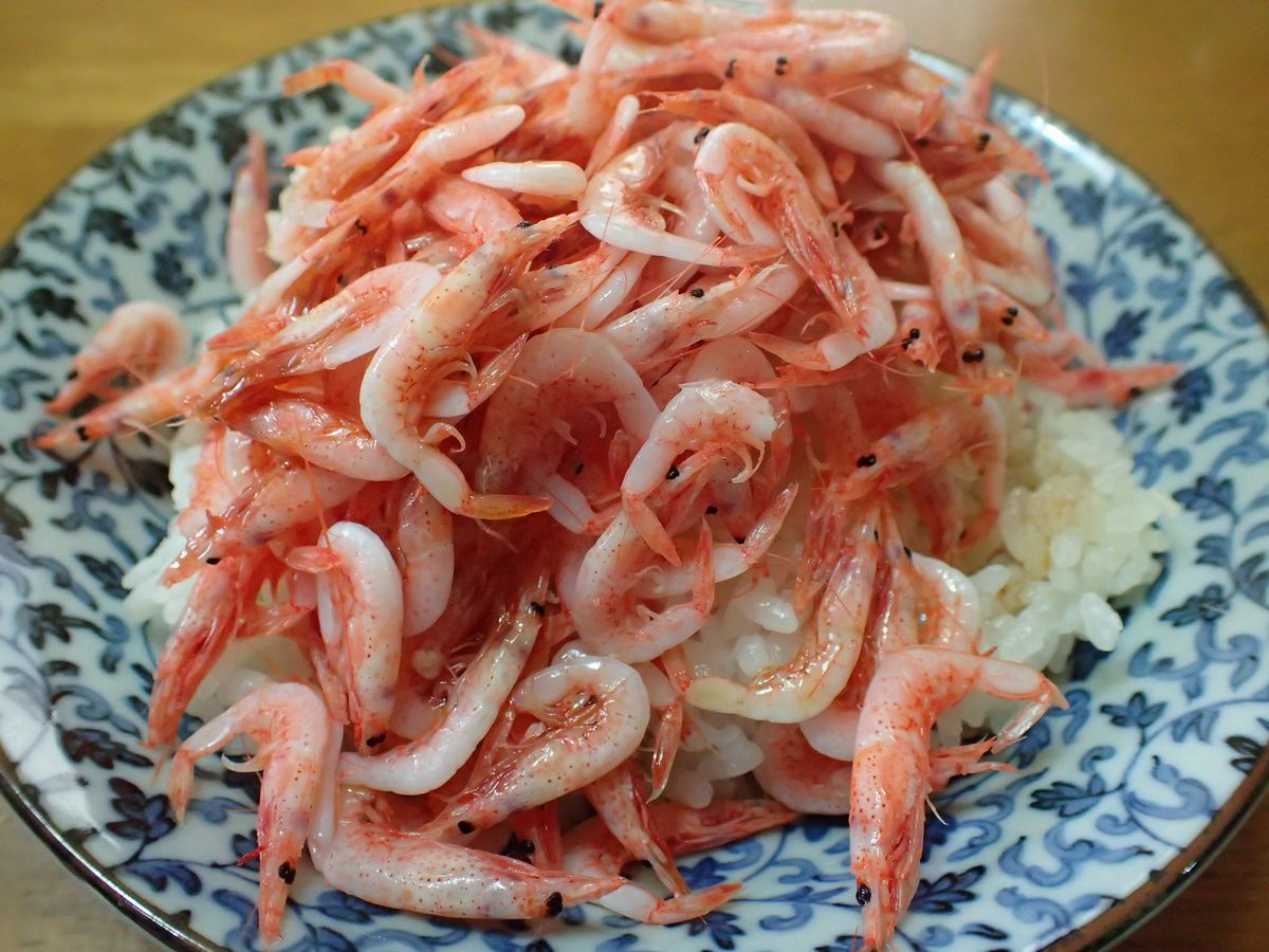 桜えびは生のまま丼でもうまいな
