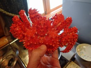 釧路の激安・安売りスーパーはビッグフーズひろせで決まりか!
