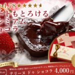 テリーヌ ドゥ ショコラ実食レビュー【2020年最安値は？】