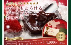テリーヌ ドゥ ショコラ実食レビュー【2020年最安値は?】