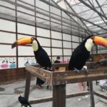 GOTOトラベル！35%割引なので「御殿場ビール/時之栖」行った