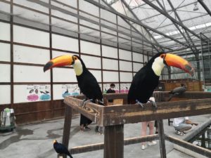 GOTOトラベル!35%割引なので「御殿場ビール/時之栖」行った